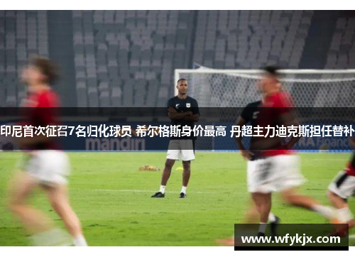 印尼首次征召7名归化球员 希尔格斯身价最高 丹超主力迪克斯担任替补