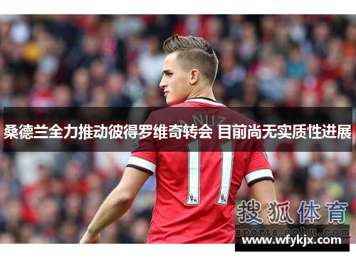 桑德兰全力推动彼得罗维奇转会 目前尚无实质性进展