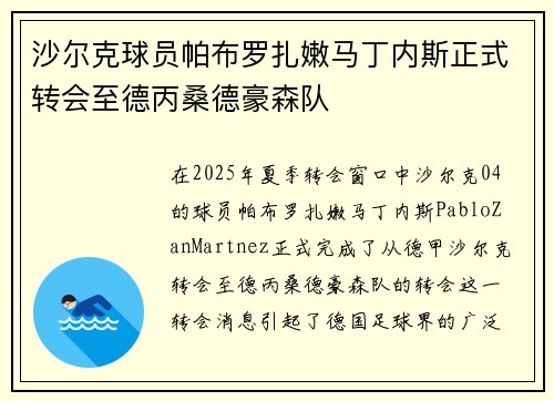 沙尔克球员帕布罗扎嫩马丁内斯正式转会至德丙桑德豪森队