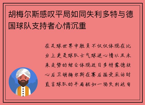 胡梅尔斯感叹平局如同失利多特与德国球队支持者心情沉重