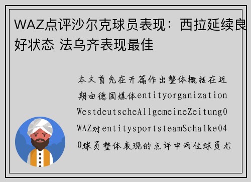 WAZ点评沙尔克球员表现：西拉延续良好状态 法乌齐表现最佳